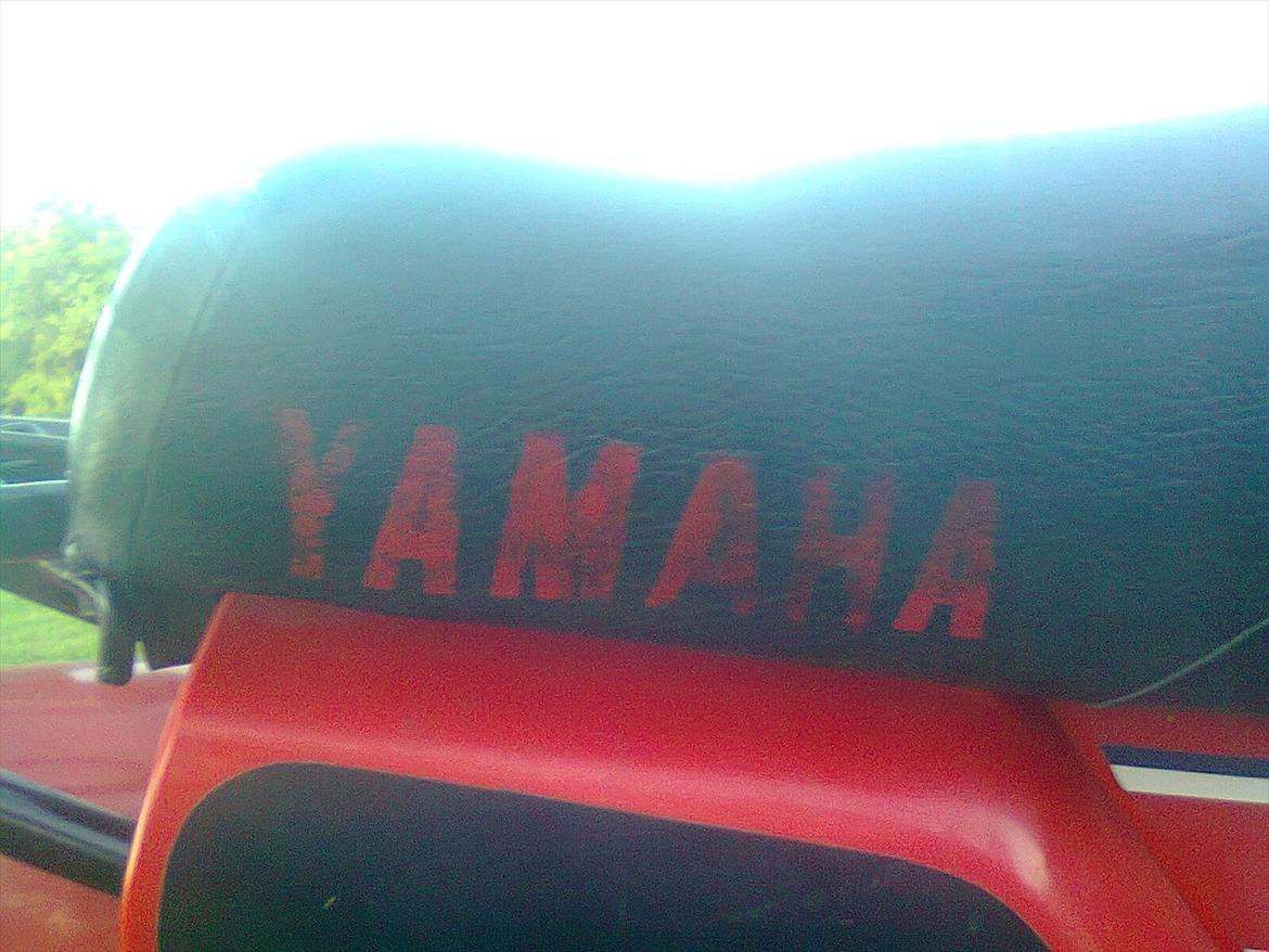 Yamaha sting billede 9