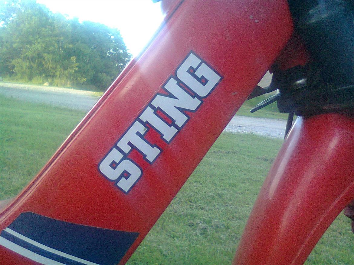 Yamaha sting billede 10