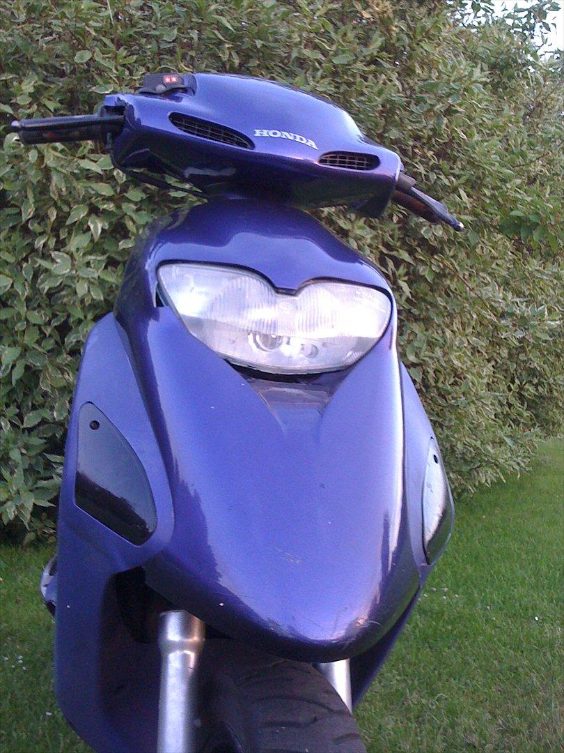 Honda Sfx Hverdagsged billede 3