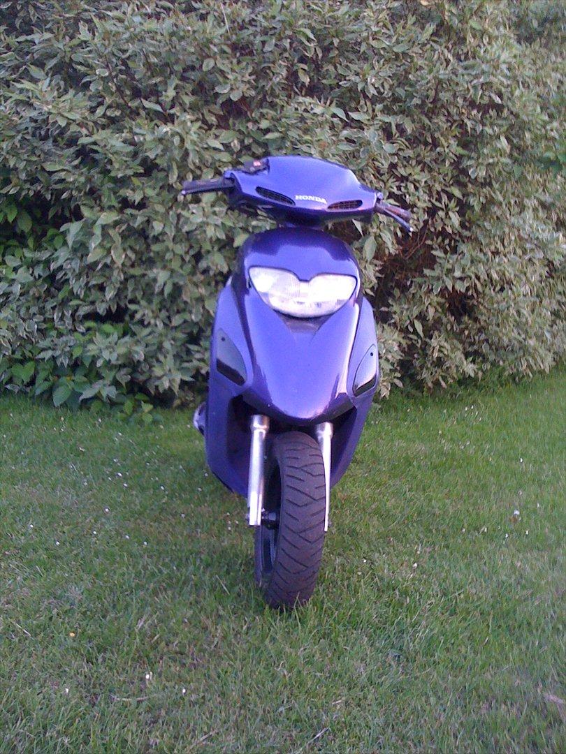 Honda Sfx Hverdagsged billede 1