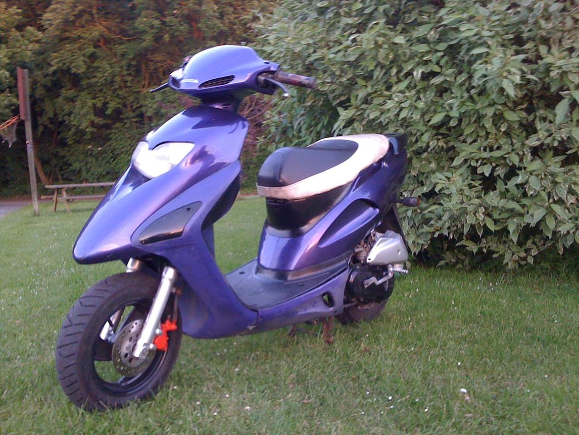 Honda Sfx Hverdagsged billede 5