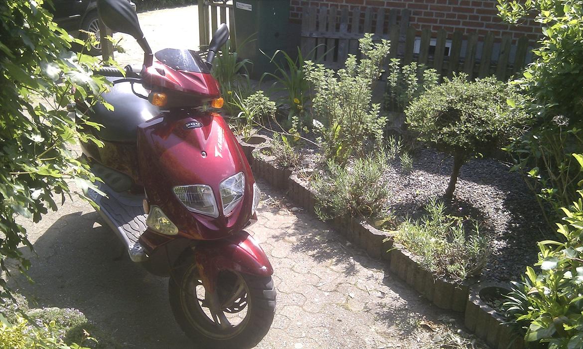 PGO t-rex 45 (Solgt) billede 1