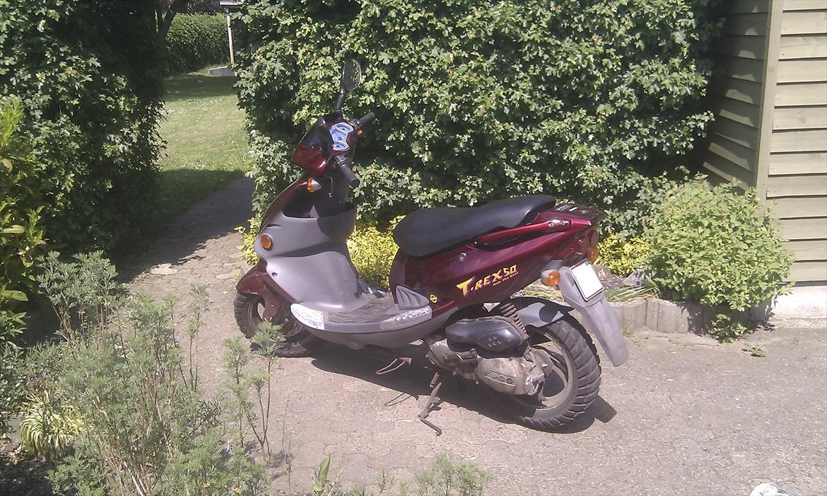 PGO t-rex 45 (Solgt) billede 2