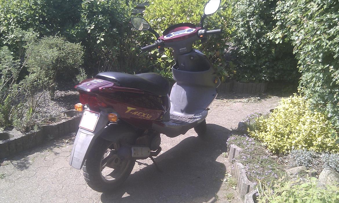 PGO t-rex 45 (Solgt) billede 4