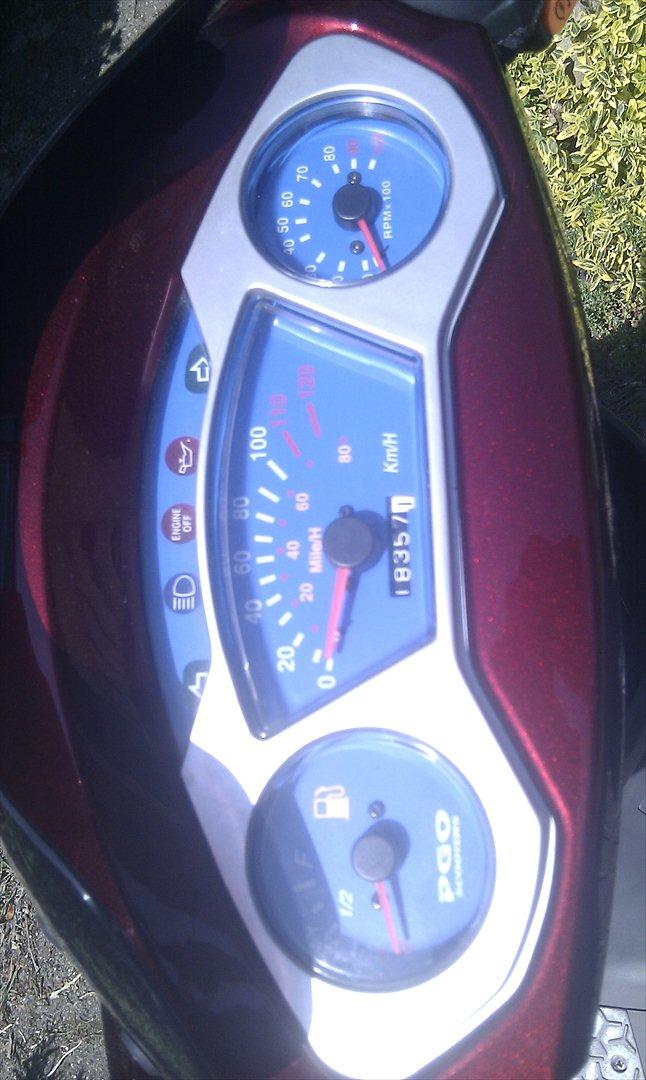 PGO t-rex 45 (Solgt) billede 5