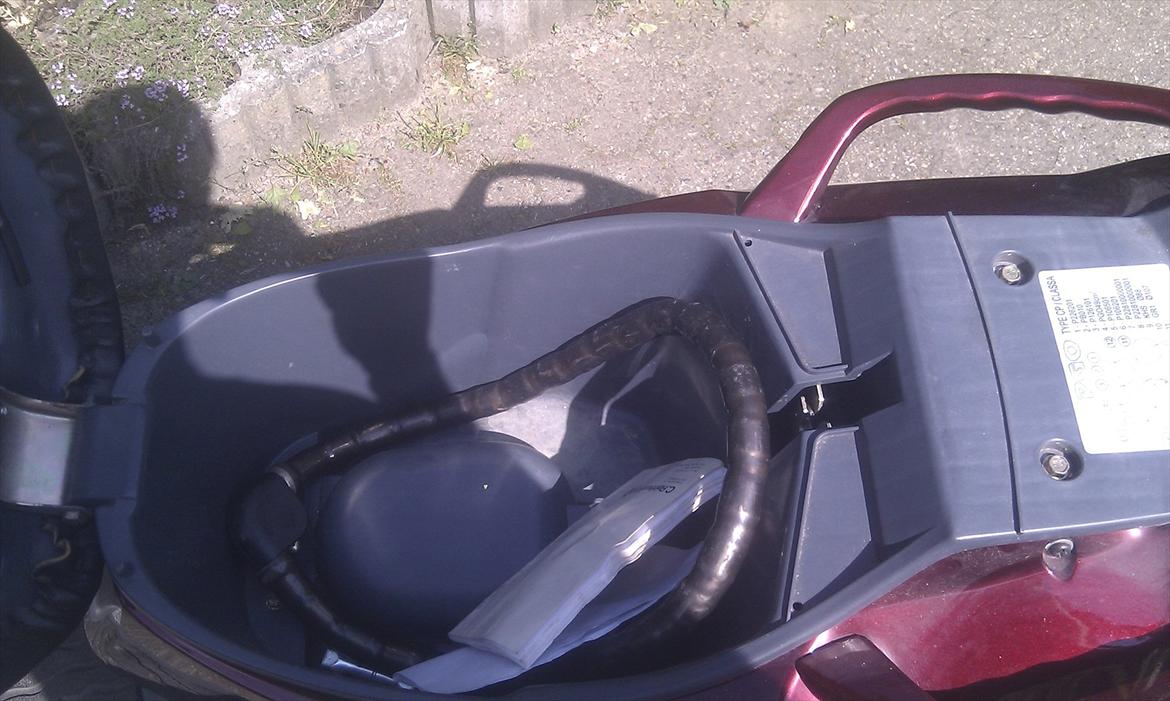 PGO t-rex 45 (Solgt) billede 6