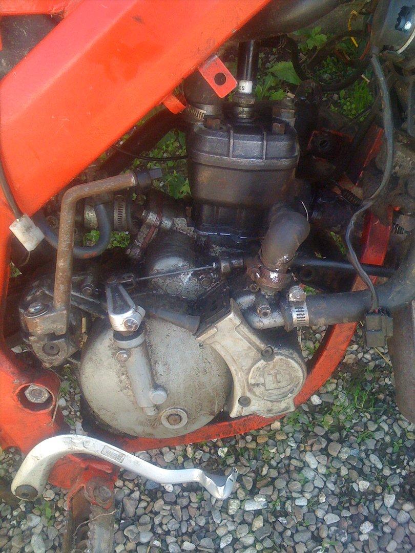 Derbi senda (bytte til honda melody) billede 6