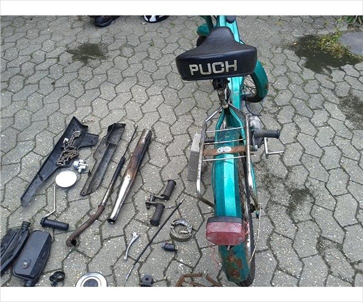Puch maxi - billede bagfra billede 6