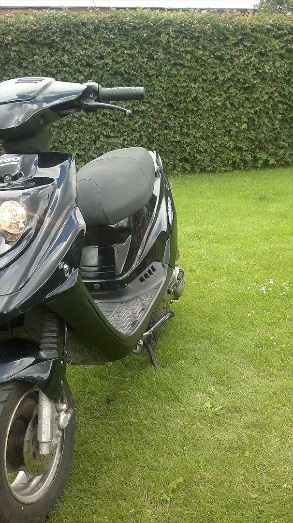 PGO hot 50 SOLGT billede 7