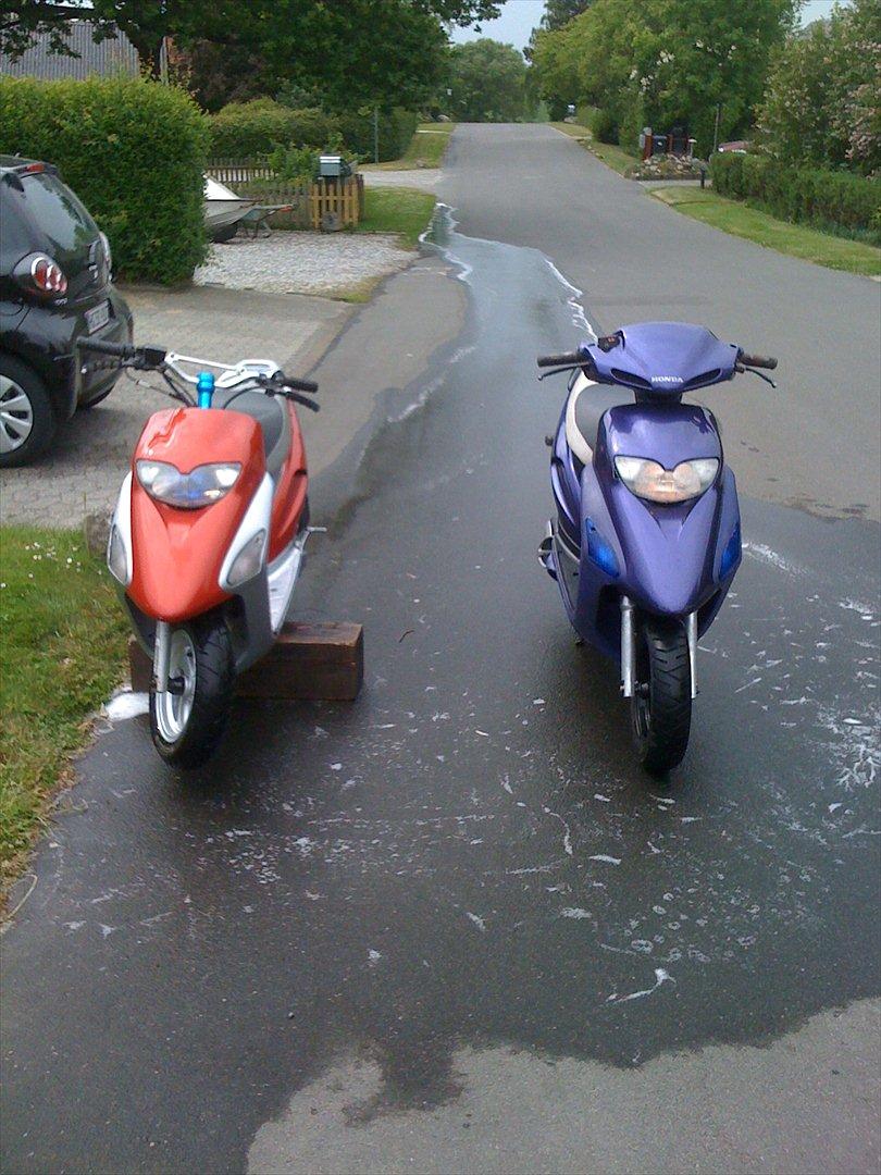 Honda Sfx Hverdagsged billede 7