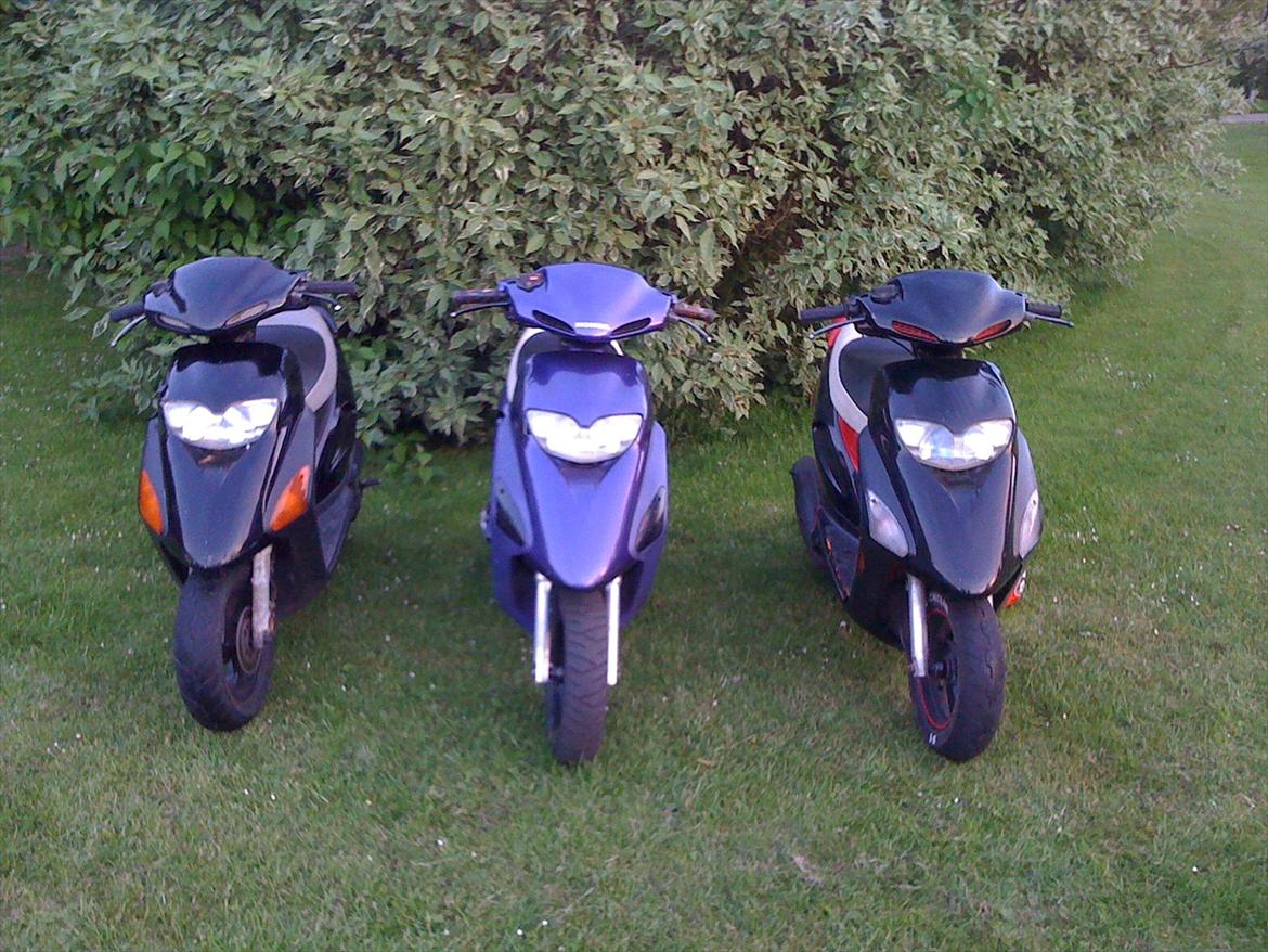 Honda Sfx Hverdagsged billede 8