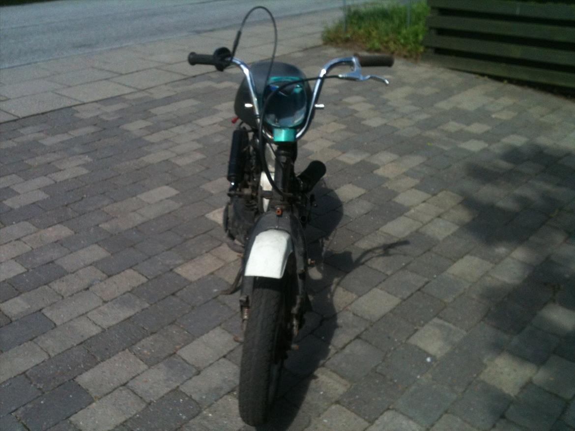 PGO Fz 50 billede 3