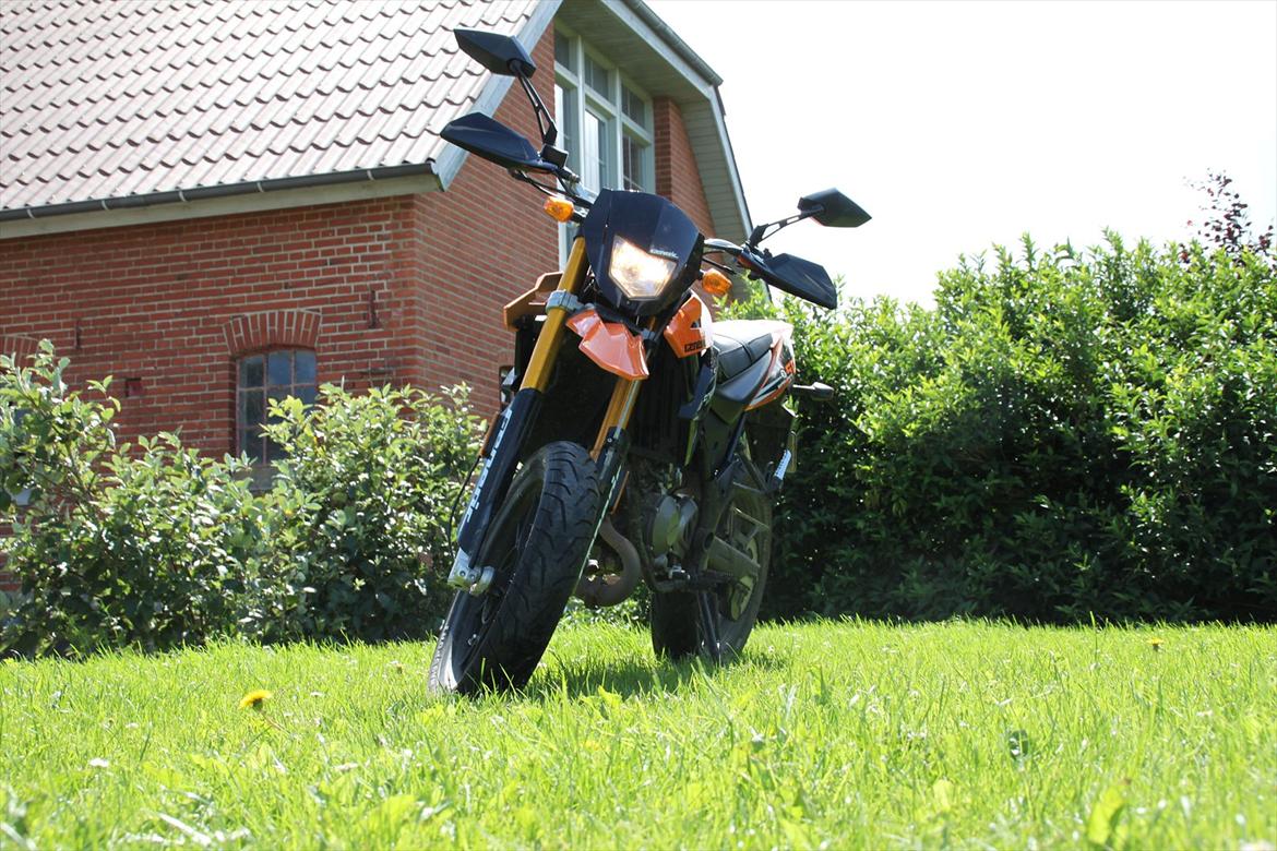 Generic Trigger sm (Trille) billede 1