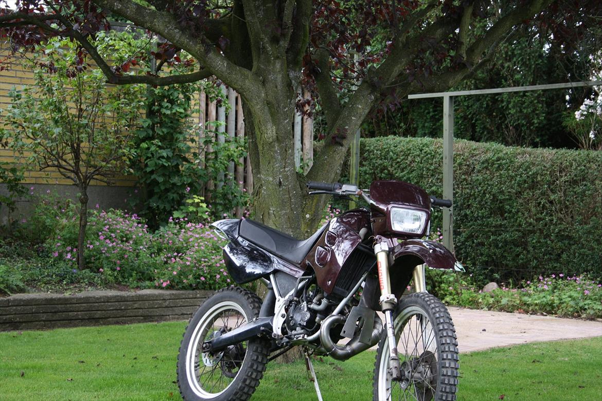 Derbi senda r billede 15