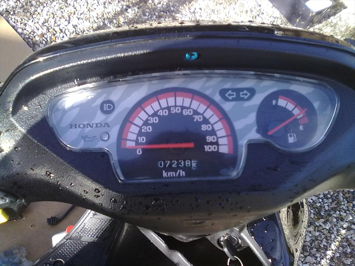 Honda sfx billede 12