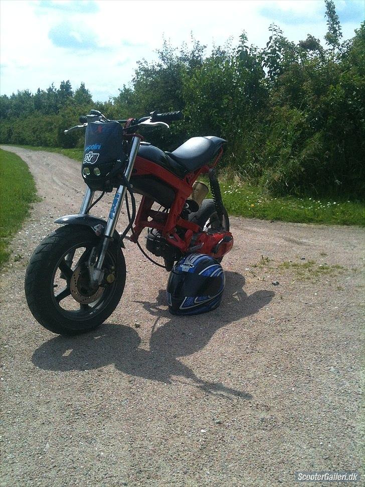 Suzuki Street Magic TPR billede 7