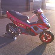 Gilera Runner LC MKP2 Baneracer