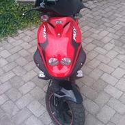 PGO pmx sport