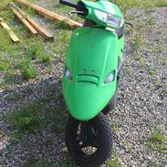 PGO Comet [Kawasaki Grøn]