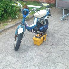 Suzuki fz50 manston