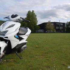 Yamaha Aerox [ The street racer! ]