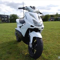 Yamaha Aerox [ The street racer! ]