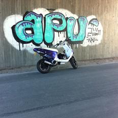 PGO Hot 50 SP PMPS. (The Player)