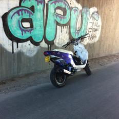 PGO Hot 50 SP PMPS. (The Player)