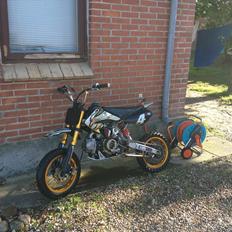 Pitpro BSE Pit Monster 125cc