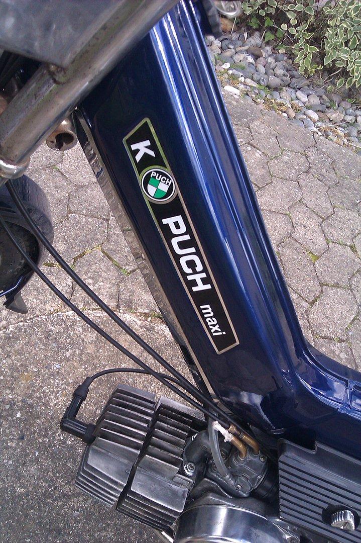 Puch Maxi K E50 - som den står idag billede 6