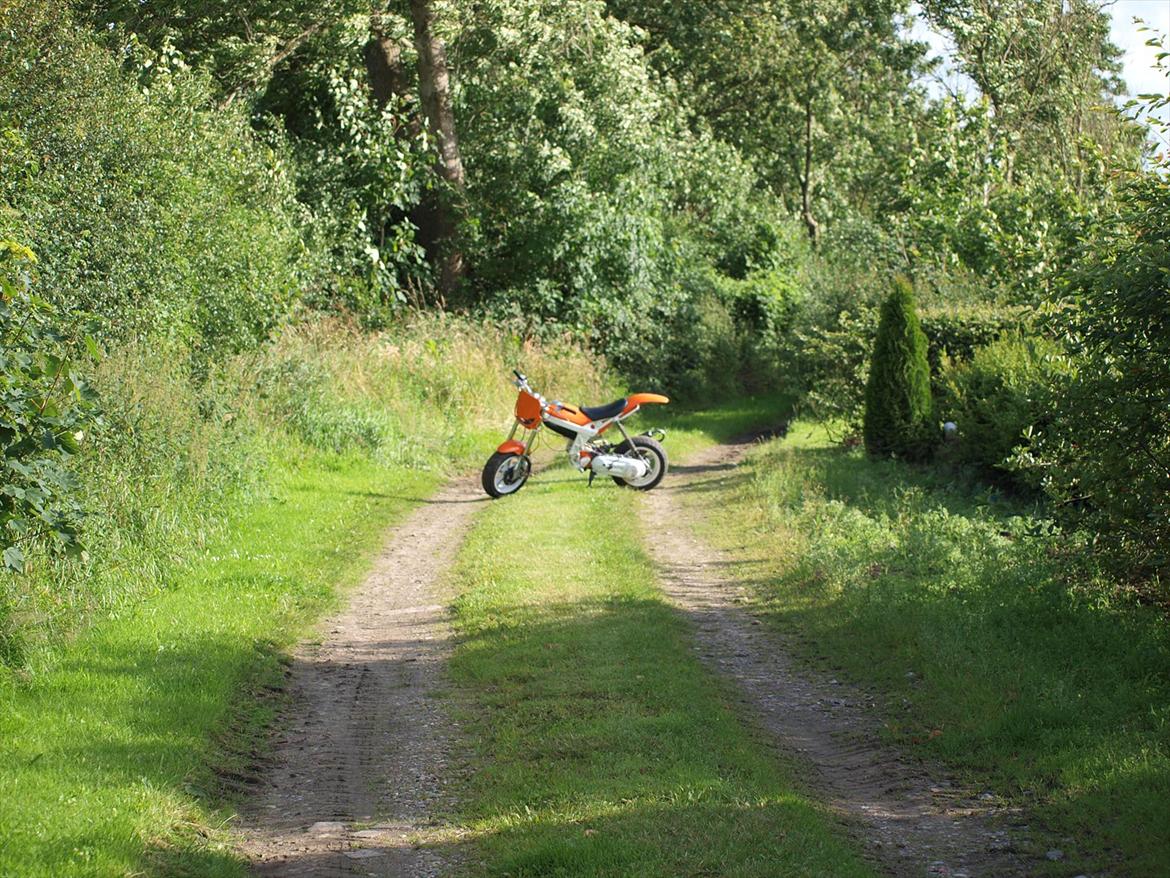 Suzuki Street magic - Margit! 70cc - Nede af mark vejen :-) billede 13