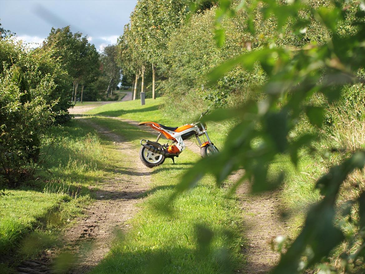 Suzuki Street magic - Margit! 70cc - wupwpu billede 15