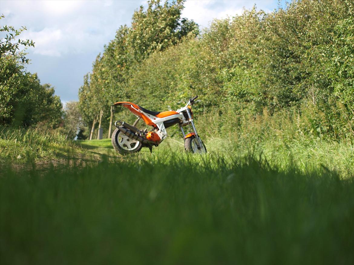 Suzuki Street magic - Margit! 70cc - Frøperspektiv. xD billede 16