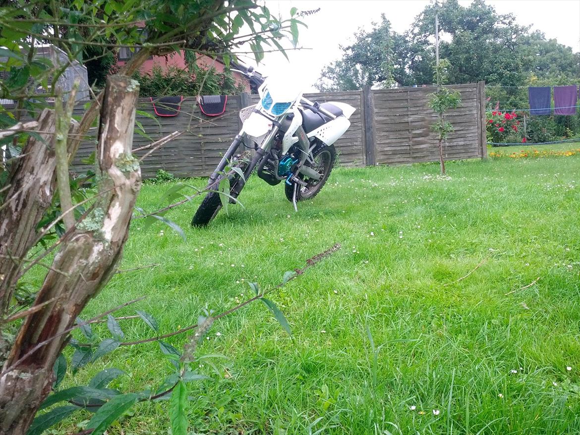 Gilera SMT billede 11