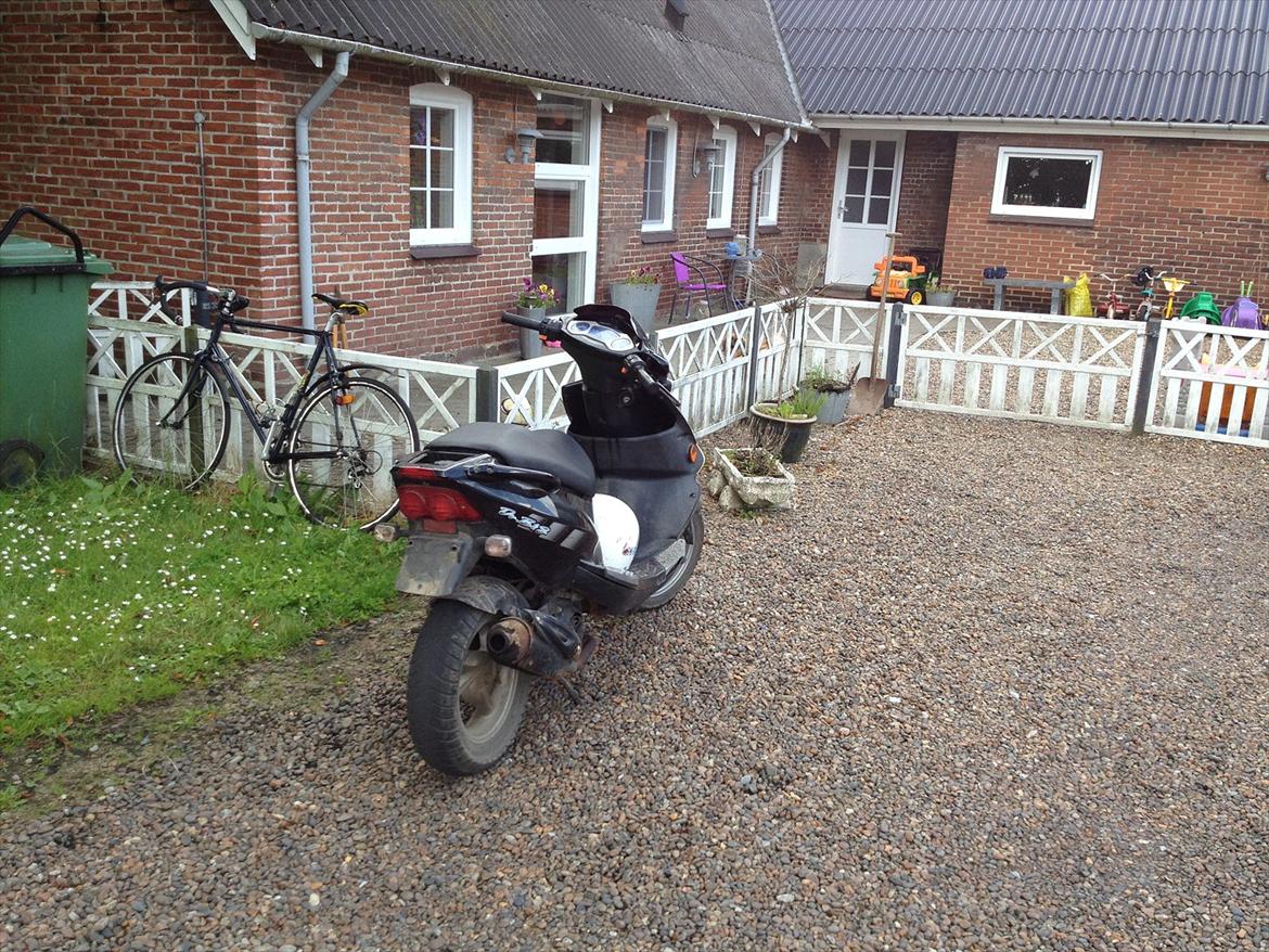 PGO Dr. Big billede 5