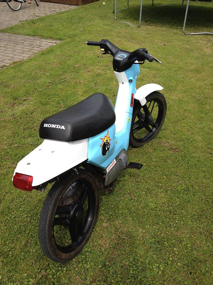 Honda Wallaroo billede 2