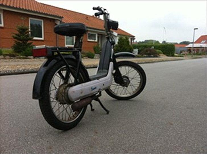 Vespa caio billede 1