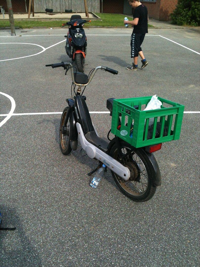 Vespa caio billede 6