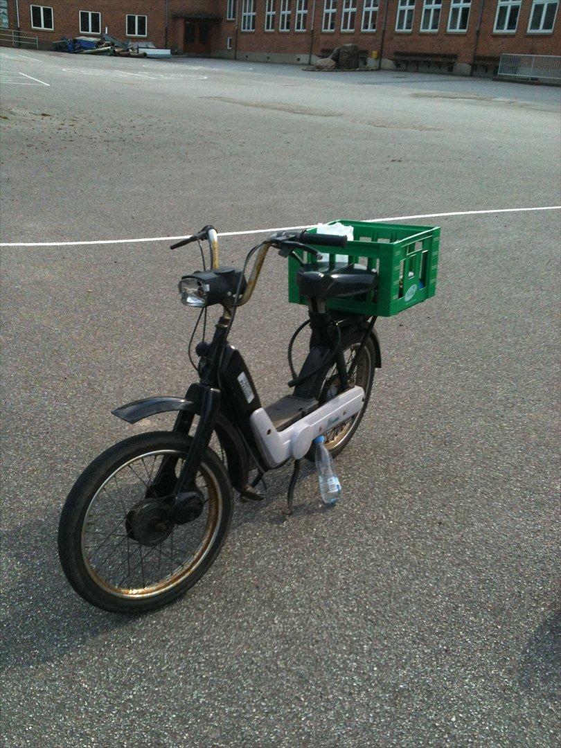 Vespa caio billede 7