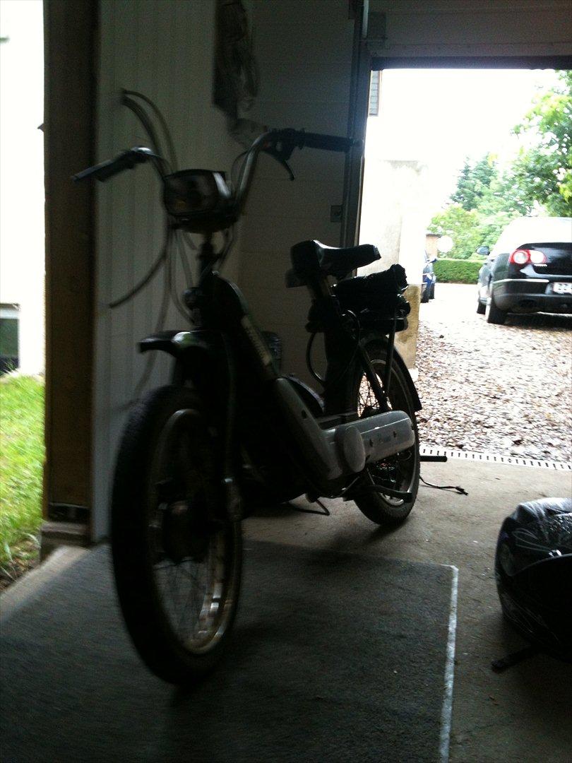 Vespa caio billede 9