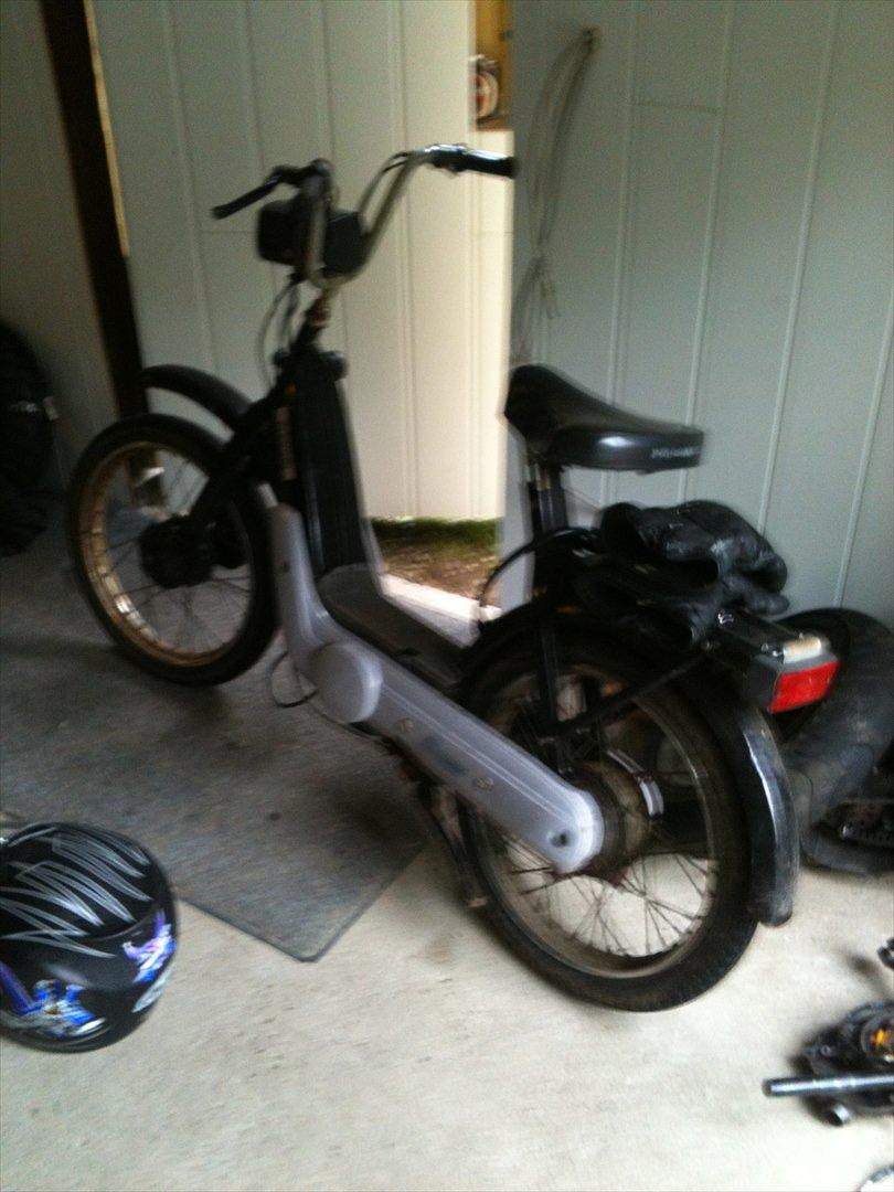 Vespa caio billede 10