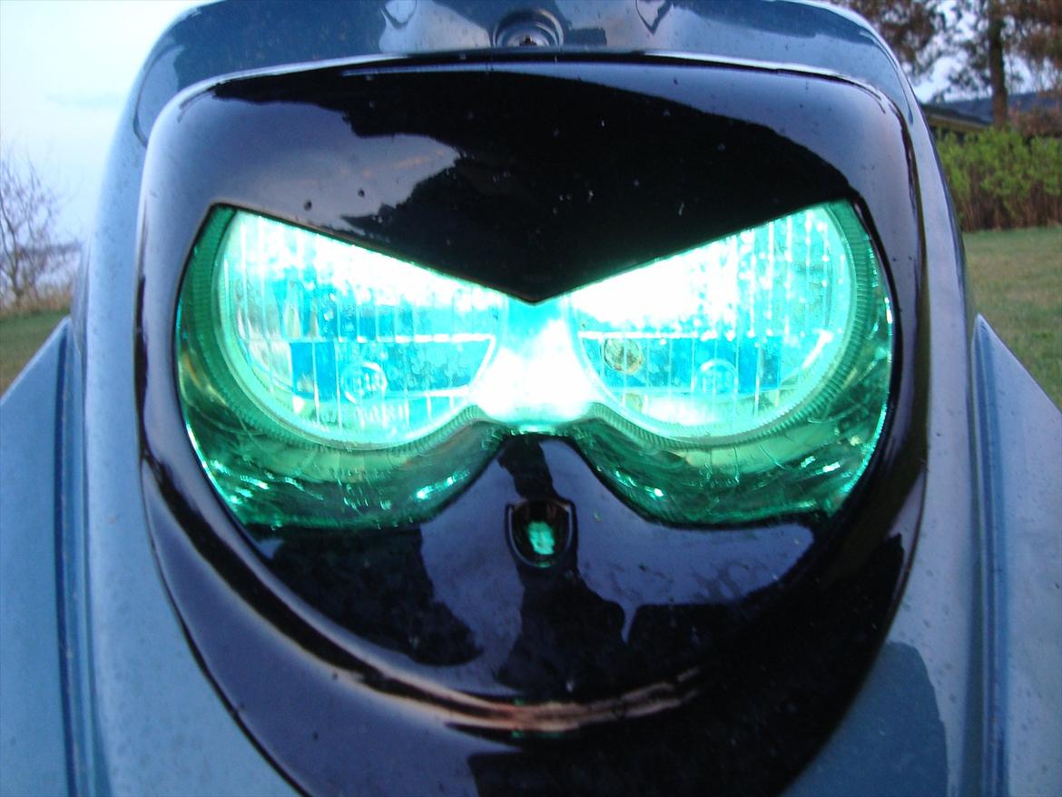 PGO Hot50 Kamæleon billede 19