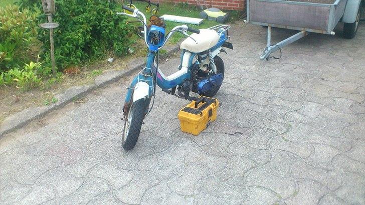 Suzuki fz50 manston billede 1