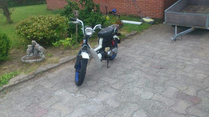 Suzuki fz50 hverdags kværn billede 1