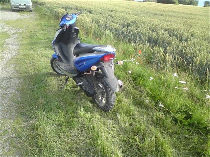 CPI Oliver billede 4