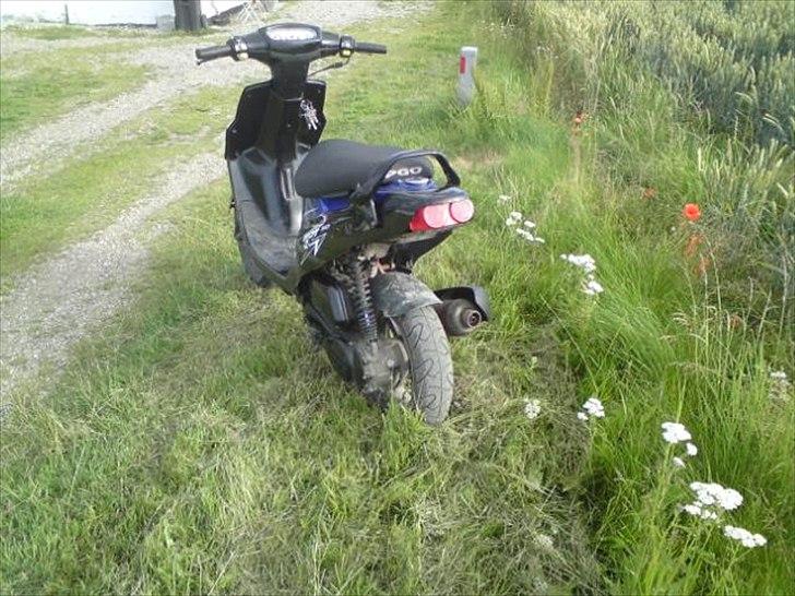 PGO Hot 50 billede 3