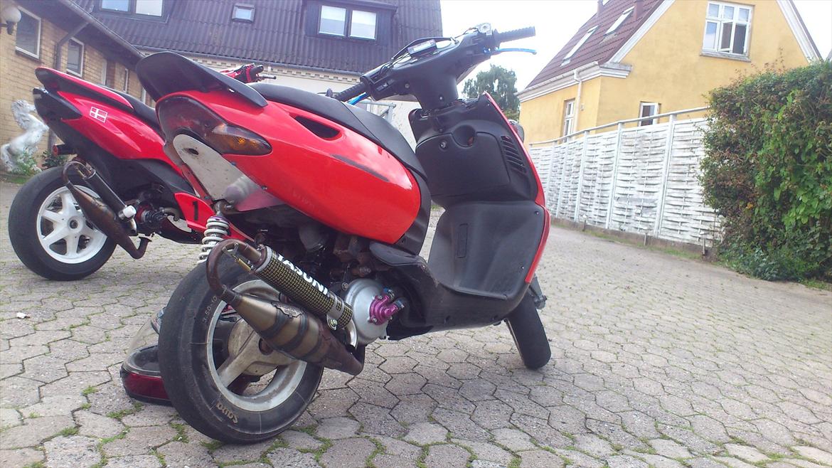 Aprilia sonic pata negra billede 6