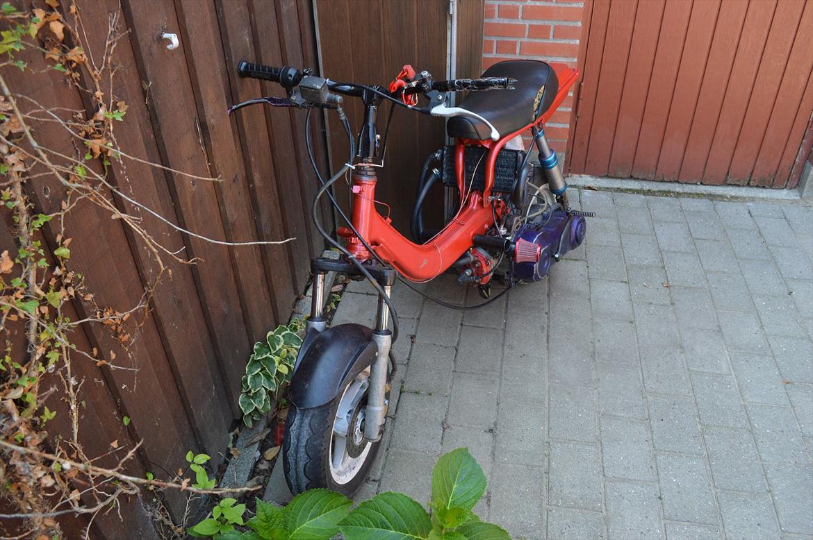 Suzuki Fz/sonic [Tidl. scooter] billede 4