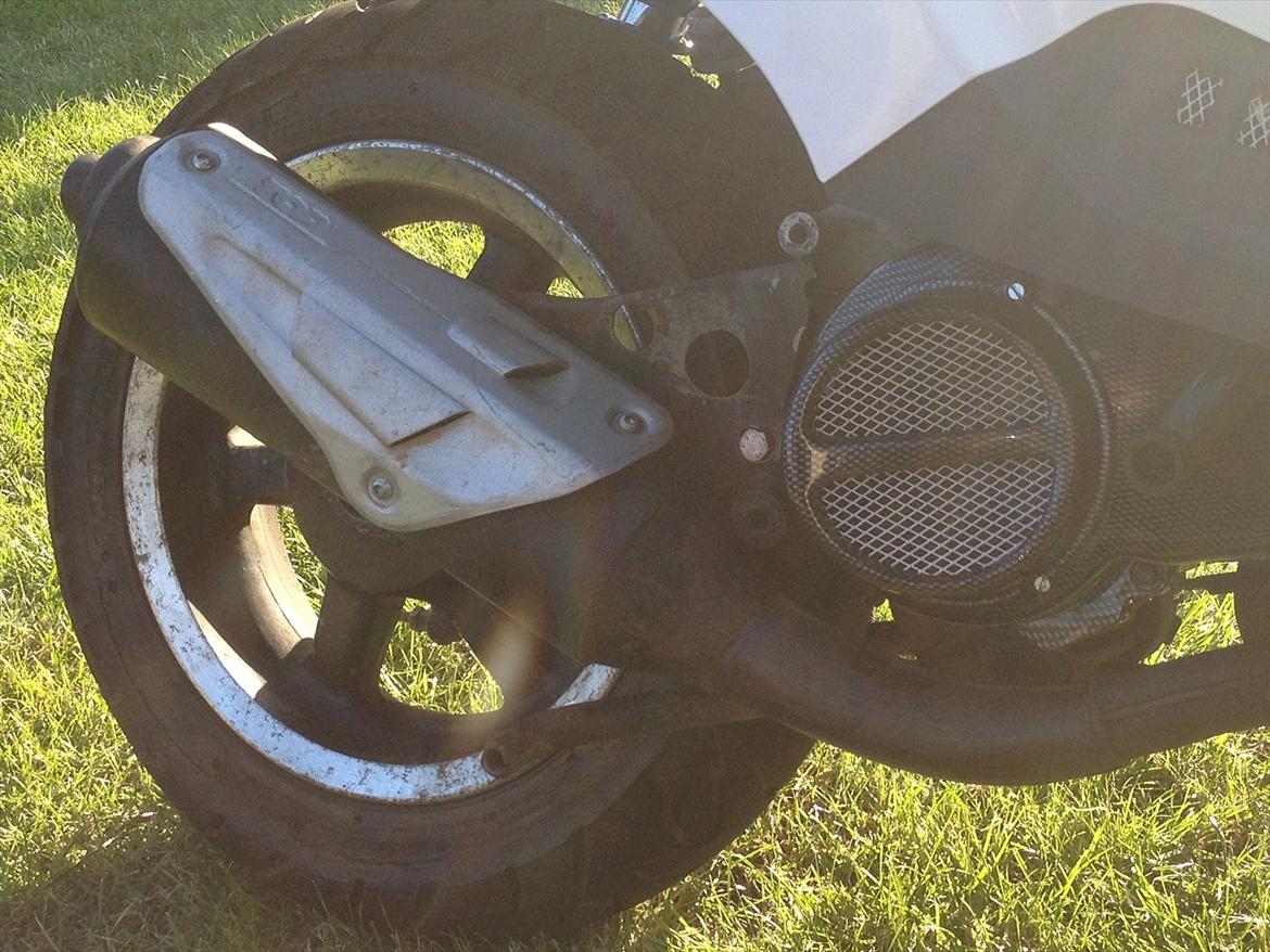 PGO Hot 50 (Rest in peace) billede 4