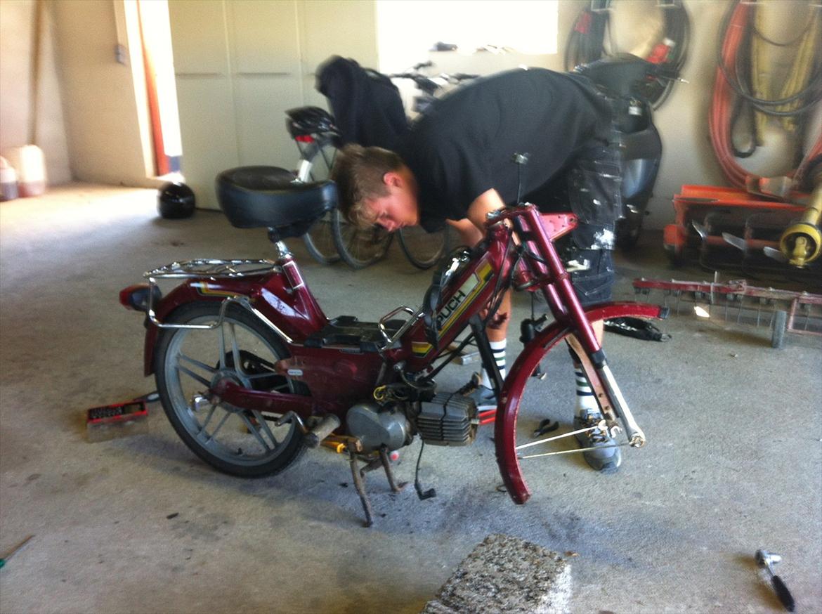 Puch Maxi KL billede 2